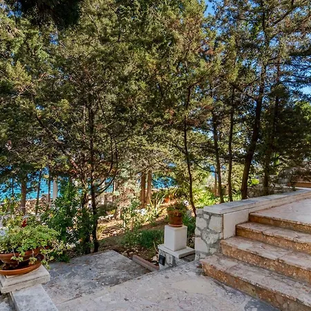 Villa Vita * تروغير