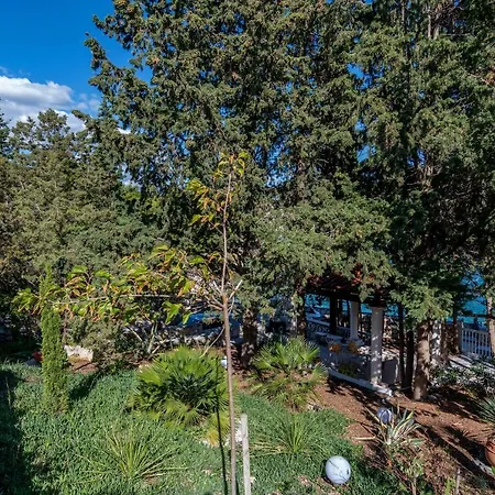 Villa Vita تروغير