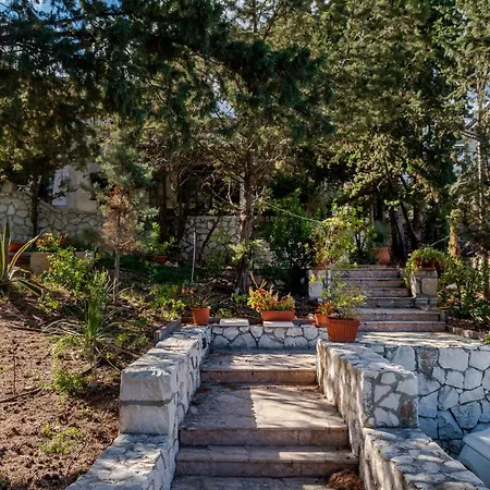 Villa Vita فيلة *