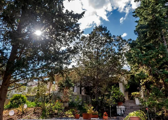 Villa Vita Вилла